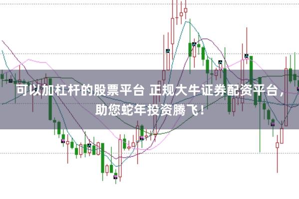 可以加杠杆的股票平台 正规大牛证券配资平台，助您蛇年投资腾飞！