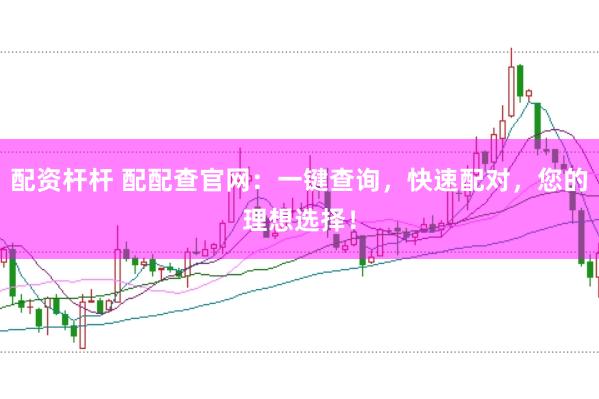 配资杆杆 配配查官网：一键查询，快速配对，您的理想选择！