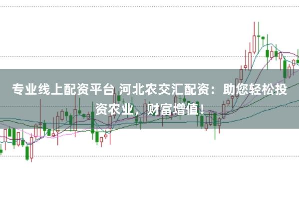 专业线上配资平台 河北农交汇配资：助您轻松投资农业，财富增值！