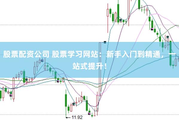 股票配资公司 股票学习网站：新手入门到精通，一站式提升！