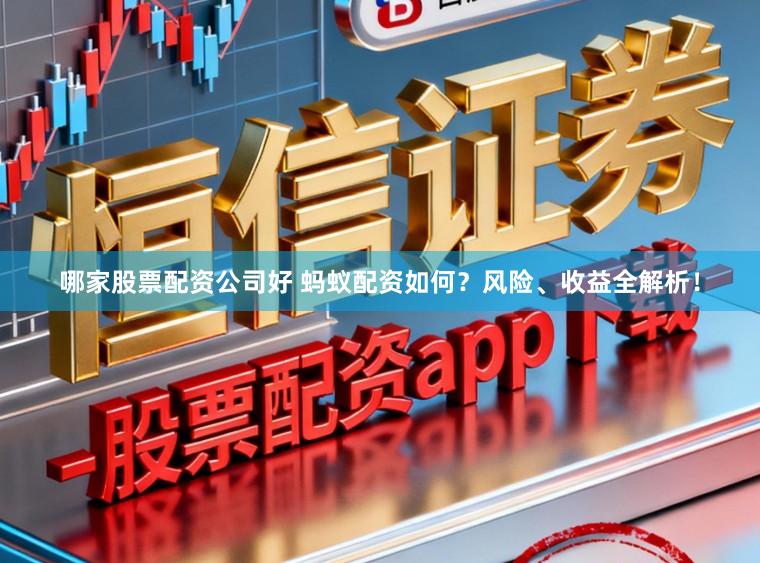 哪家股票配资公司好 蚂蚁配资如何？风险、收益全解析！