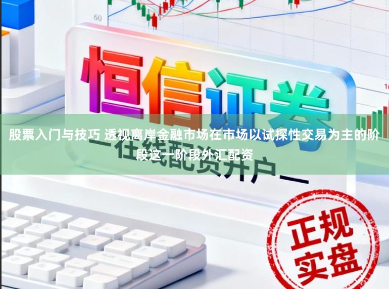 股票入门与技巧 透视离岸金融市场在市场以试探性交易为主的阶段这一阶段外汇配资